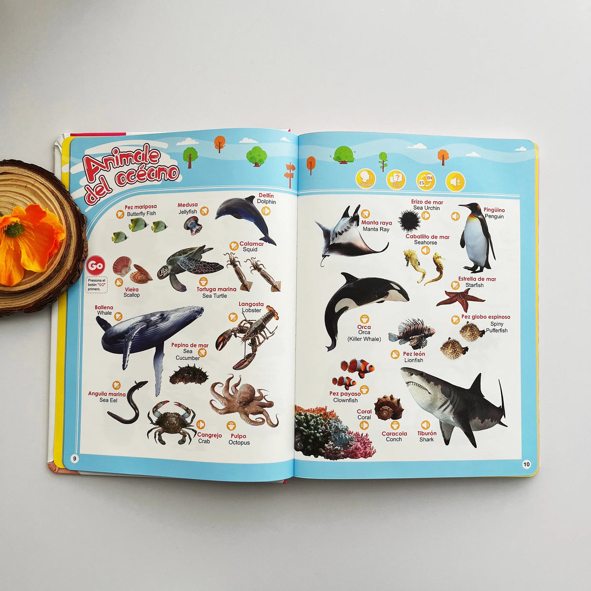 Spanish Interactive Educational Toy for Kids 1–6, Bilingual Sound Book for Early Language Learning