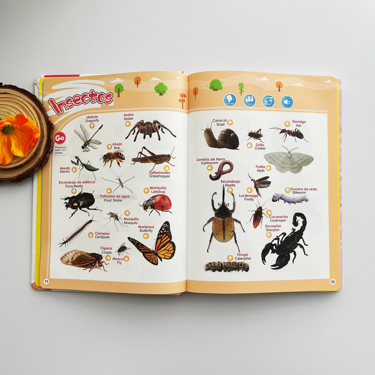 Spanish Interactive Educational Toy for Kids 1–6, Bilingual Sound Book for Early Language Learning
